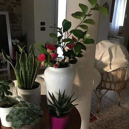 לינה וארוחת בוקר La Casa Dei Ciliegi מארוסטיקה