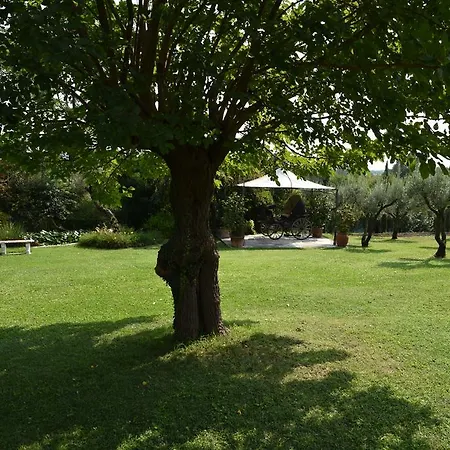 Bed & Breakfast La Casa Dei Ciliegi Marostica