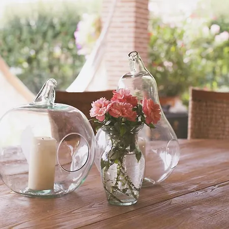 Bed & Breakfast La Casa Dei Ciliegi