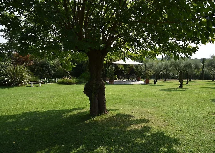 Bed & Breakfast La Casa Dei Ciliegi Marostica